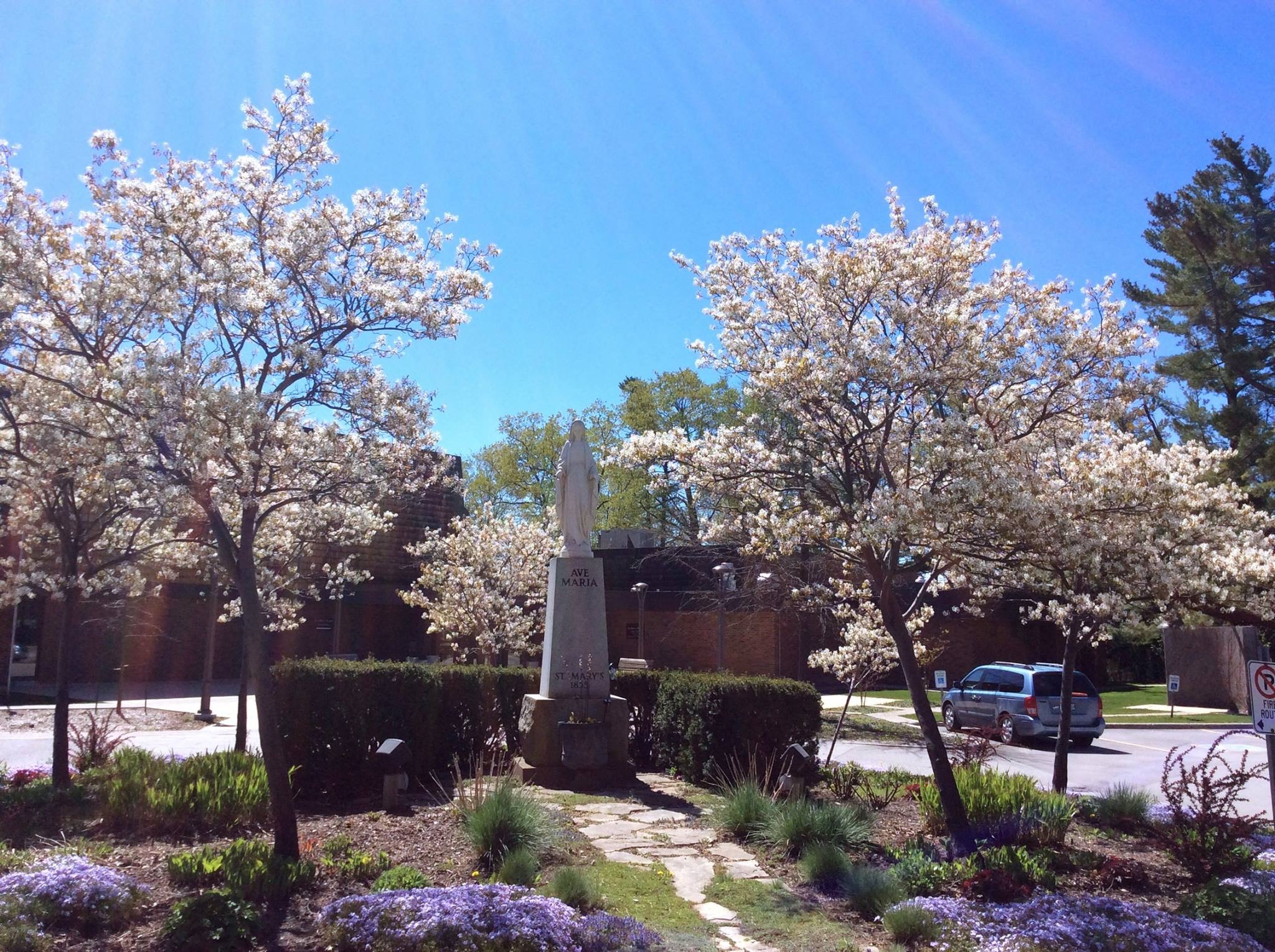 St. Mary's church during spring