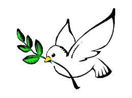 dove holding olive branch